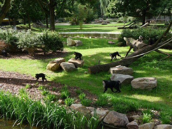 Dierentuin van Dresden